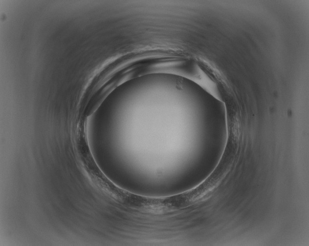 X0000081450540200701121234