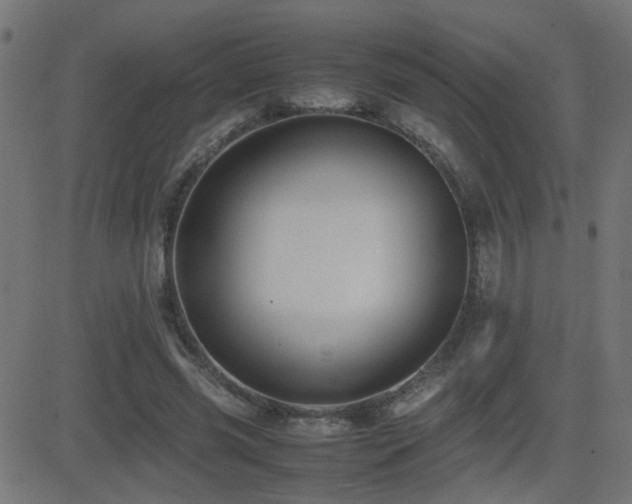 X0000081450541200701121234