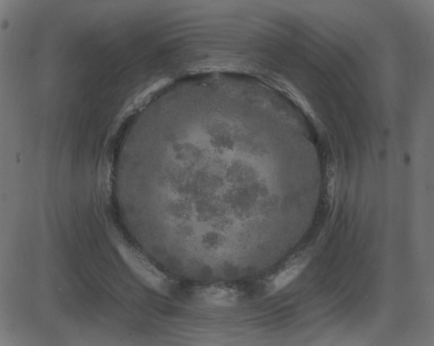 X0000081450542200701121234