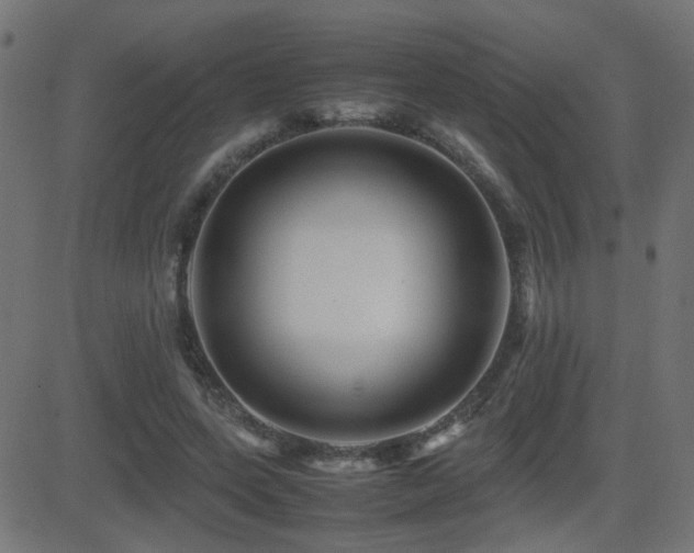 X0000081450543200701121234