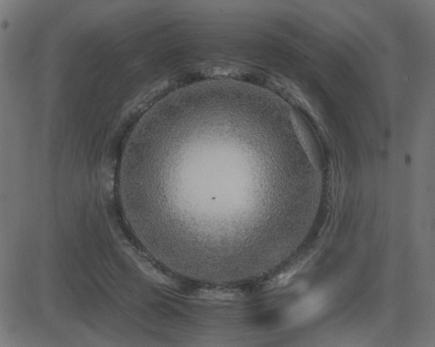 X0000081450545200701121234