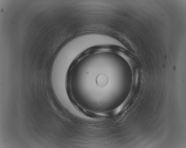 X0000081450546200701121234