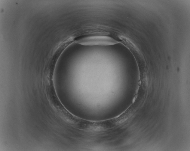 X0000081450547200701121234