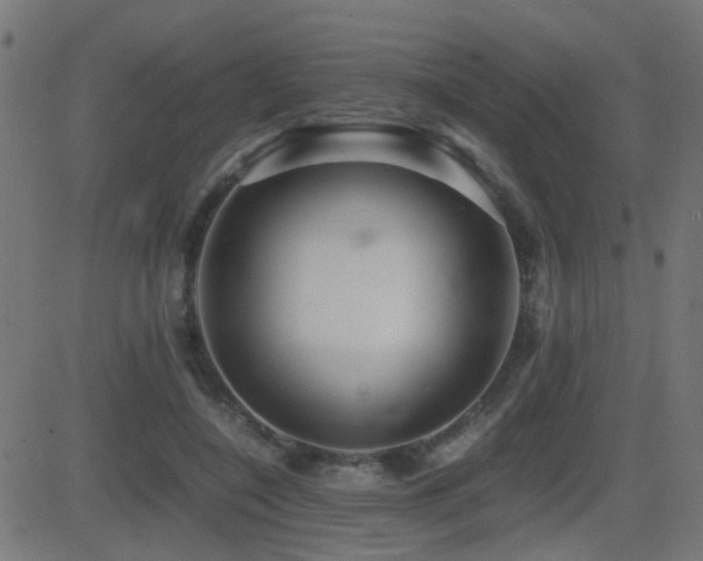 X0000081450548200701121234