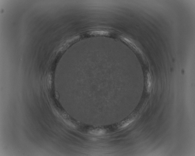 X0000081450551200701121234