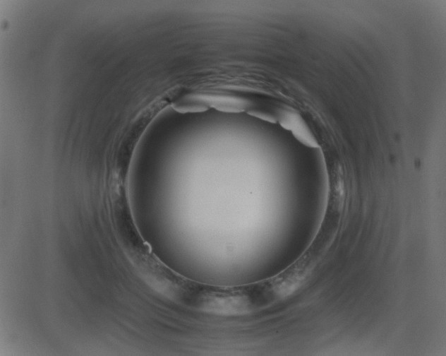 X0000081450555200701121234