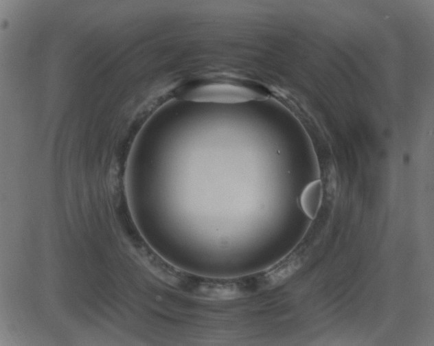 X0000081450559200701121234