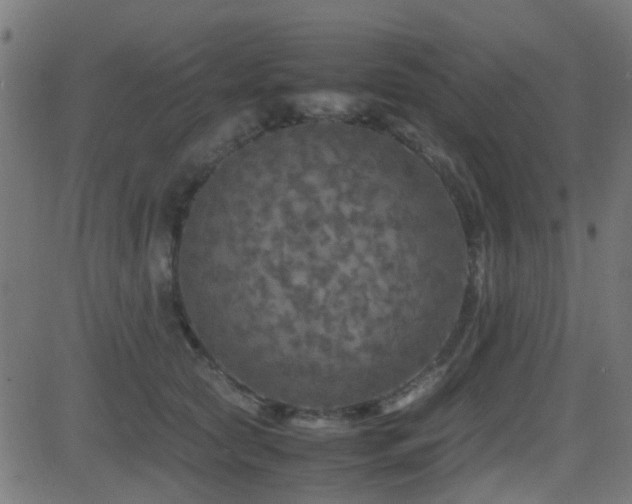 X0000081450561200701121234