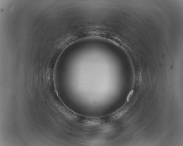 X0000081450567200701121234