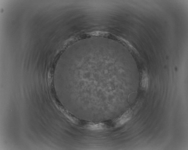 X0000081450569200701121234