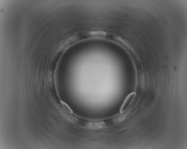 X0000081450571200701121234