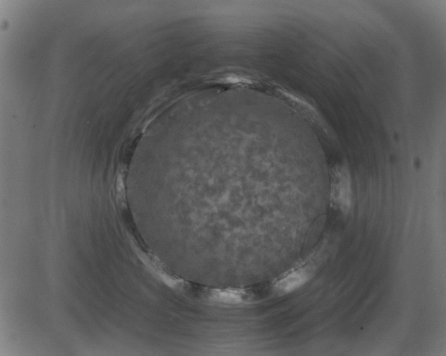 X0000081450573200701121234