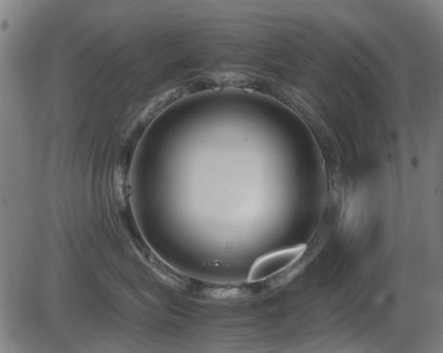 X0000081450575200701121235