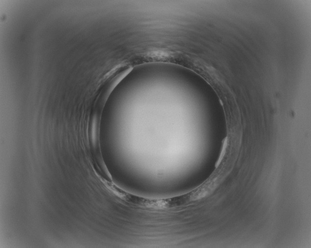 X0000081450576200701121235