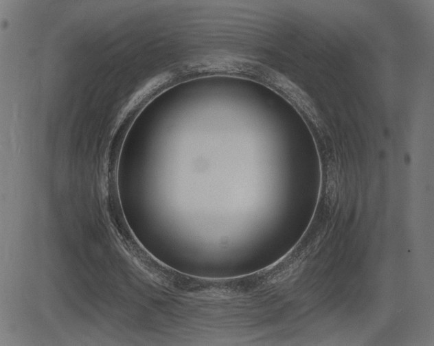 X0000081450578200701121234