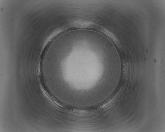 X0000081450582200701121234