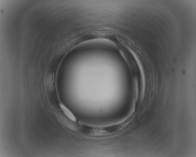 X0000081450605200701121233
