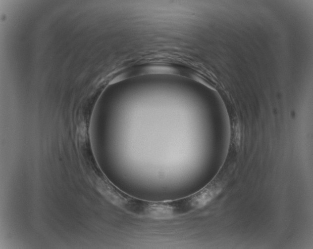 X0000081450617200701121233