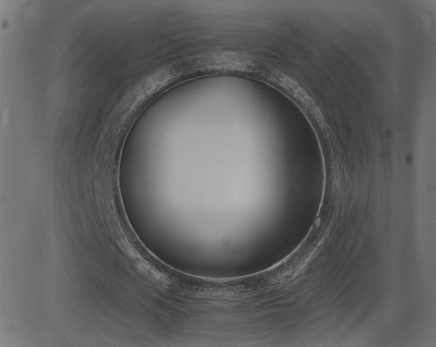 X0000081450625200701121232