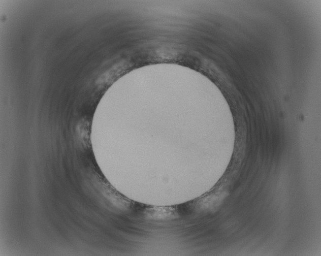 X0000081450672200701121233