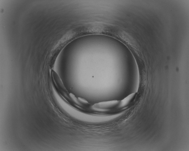 X0000081450681200701121232