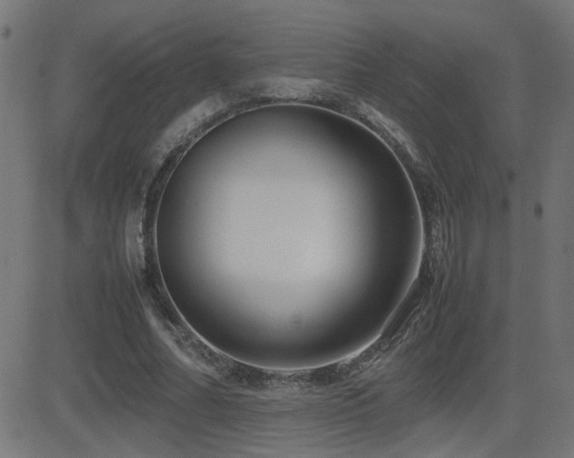 X0000081450682200701121232