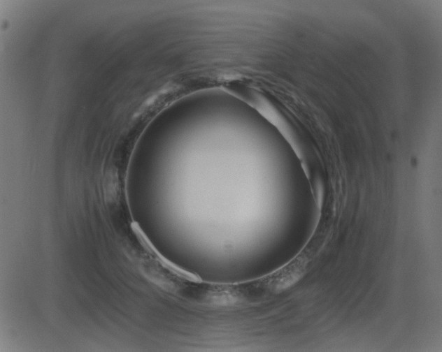 X0000081450704200701121232
