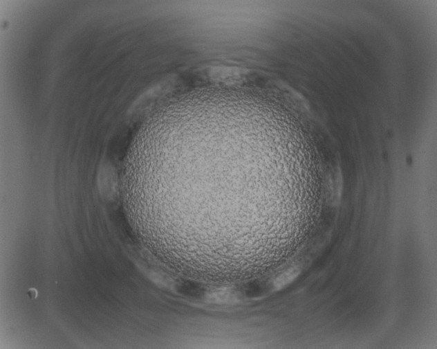 X0000081450705200701121232