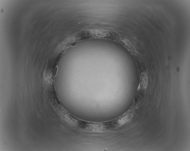 X0000081450713200701121231