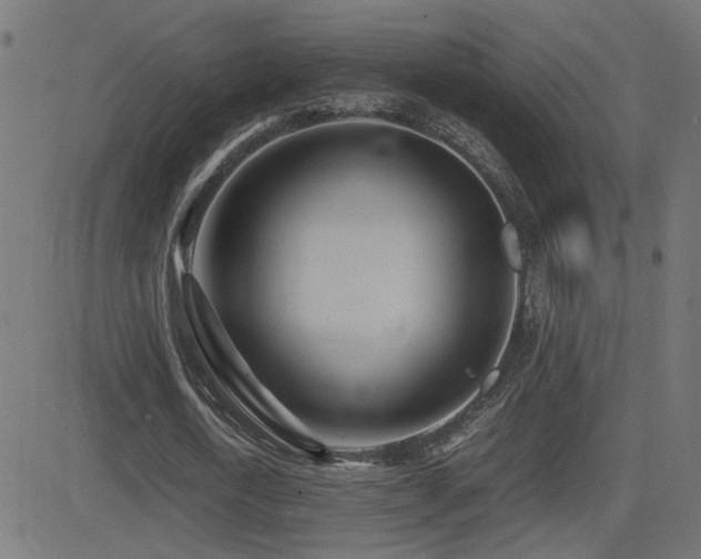 X0000081450722200701121230