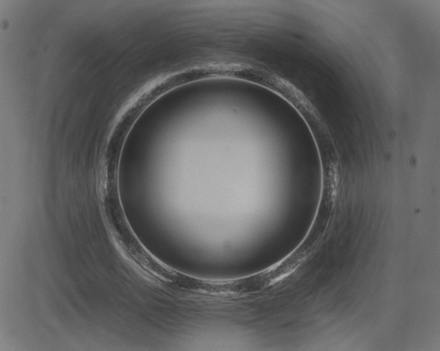 X0000081450726200701121230