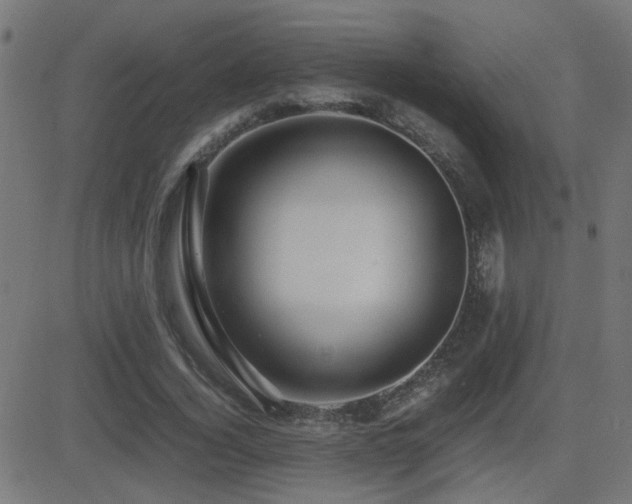 X0000081450732200701121231