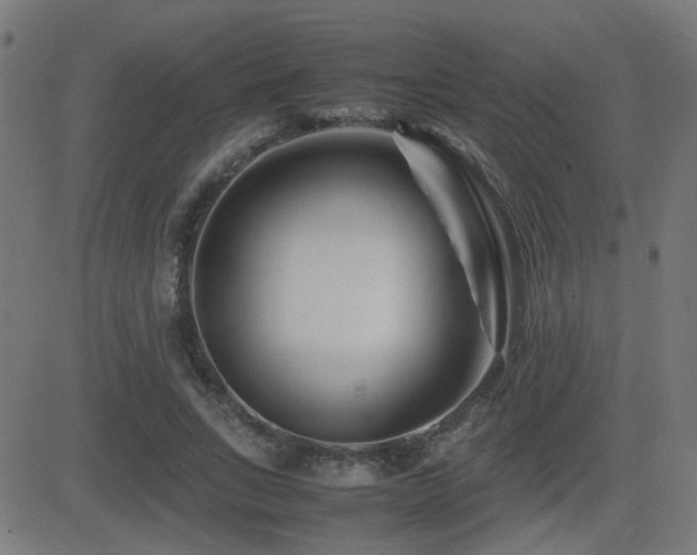 X0000081450735200701121231