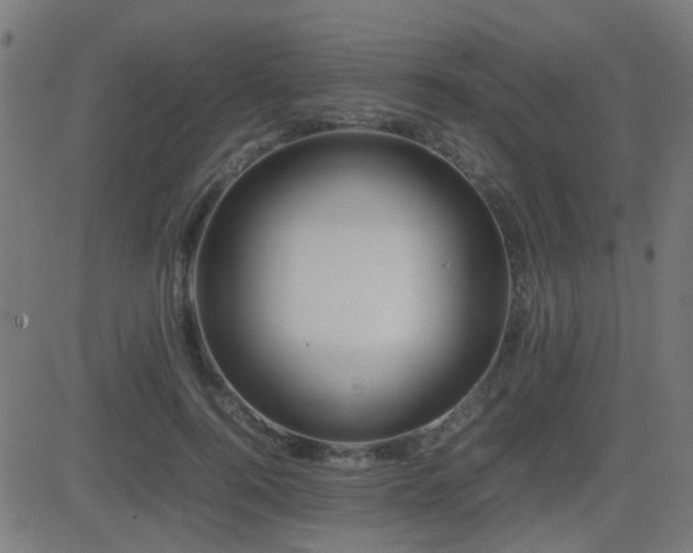 X0000081450744200701121231