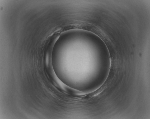 X0000081450750200701121231