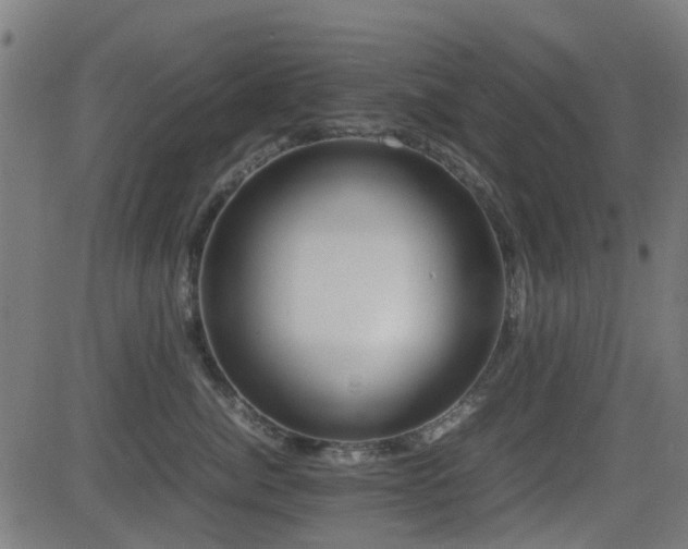 X0000081450764200701121231