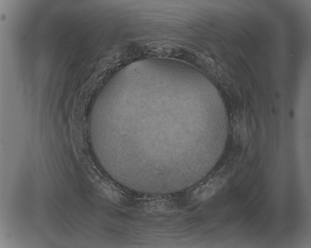 X0000081450769200701121230
