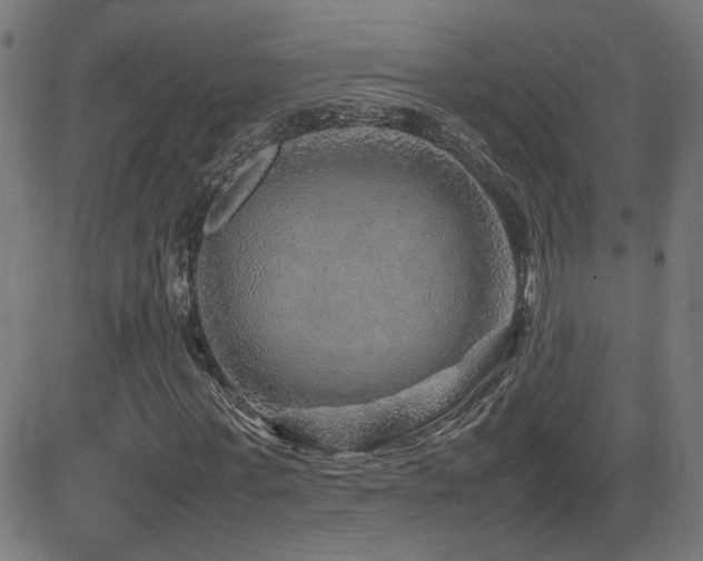 X0000081450771200701121230