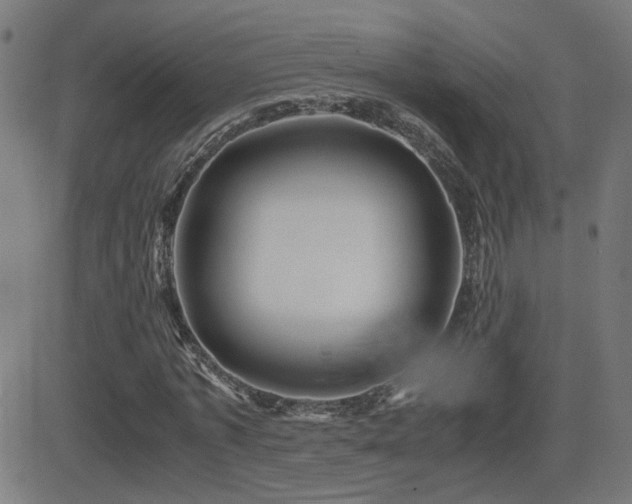 X0000081450773200701121230
