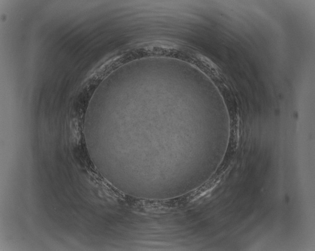 X0000081450774200701121230