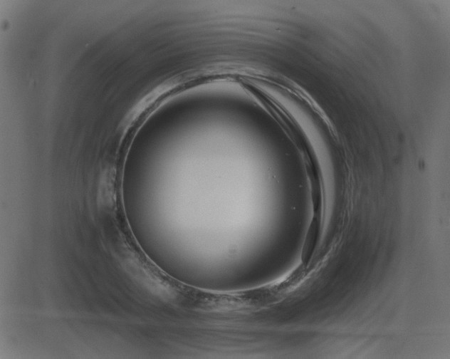 X0000081450786200701121230