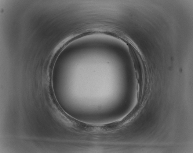 X0000081450787200701121230