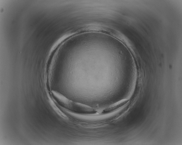 X0000081450795200701121230
