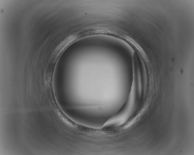 X0000081450801200701121230