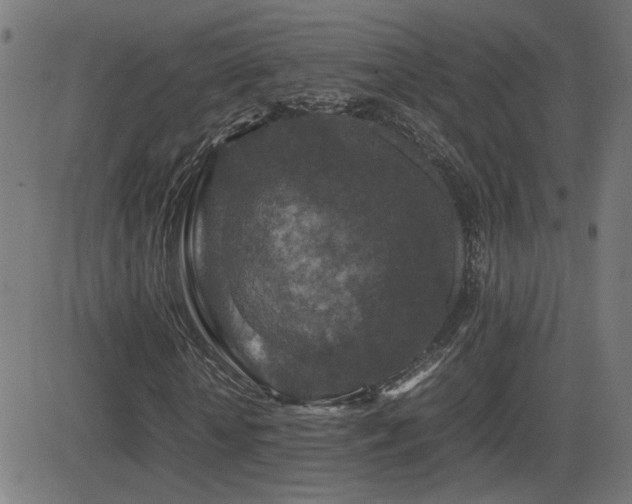 X0000081450818200701121229