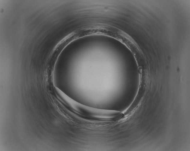 X0000081450826200701121229