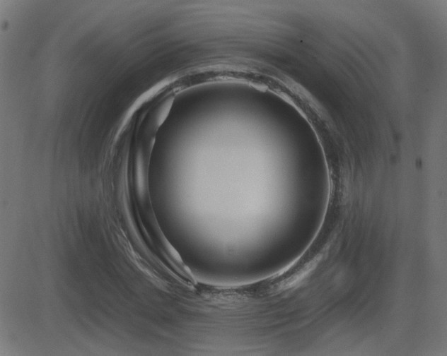 X0000081450830200701121229