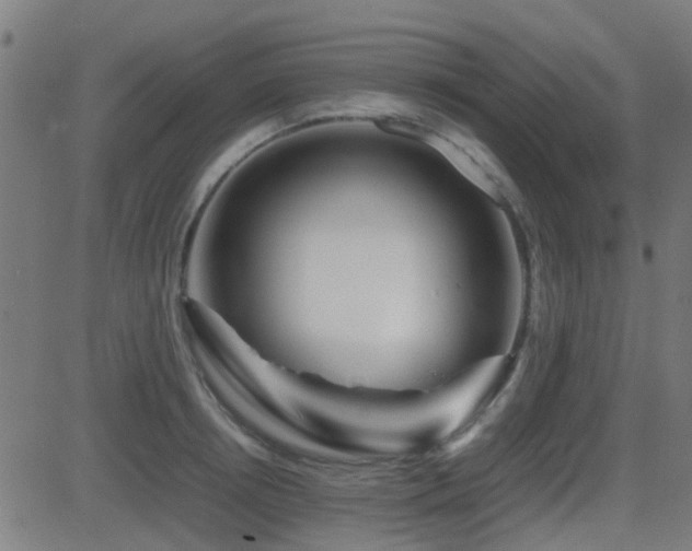 X0000081450850200701121229