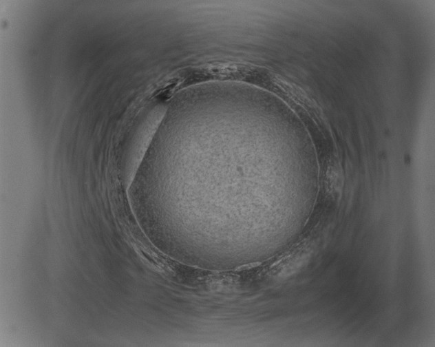 X0000081450865200701121229