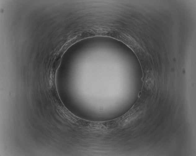 X0000081450866200701121229
